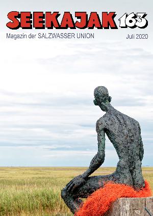 SK163-2020
